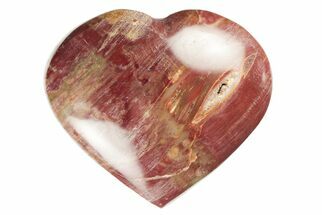 3.3" Polished Triassic Petrified Wood Heart - Madagascar - Fossil #194910