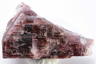 Rare, Red Villiaumite Crystal Section - Murmansk Oblast, Russia #195321