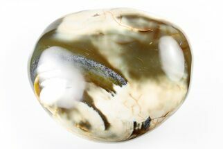 5.9" Colorful, Polished Carnelian Agate - Madagascar - Crystal #196437