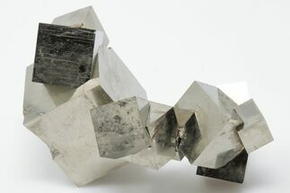 3.65" Natural Pyrite Cube Cluster - Spain - Crystal #196788