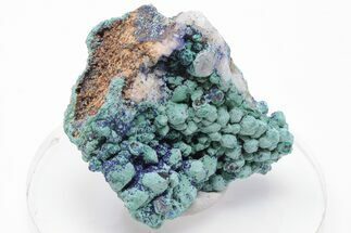 Vibrant Malachite and Azurite on Quartz Crystals - China #197094