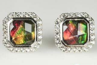Brilliant Ammolite Earrings with Topaz Accent Stones - Fossil #197665