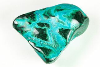 3.7" Vibrant, Polished Malachite with Chrysocolla - Congo - Crystal #179479