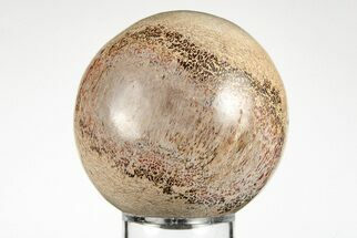 2.4" Polished Agatized Dinosaur (Gembone) Sphere - Morocco - Fossil #198502