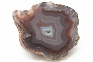 Attractive, 3.5" Polished Banded Laguna Agate - Mexico - Crystal #198575