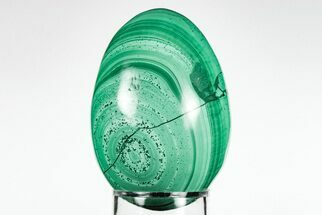 2.5" Flowery, Polished Malachite Egg - Congo - Crystal #199113