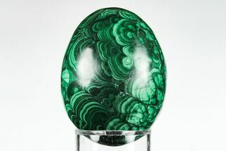 2.2" Flowery, Polished Malachite Egg - Congo - Crystal #199136