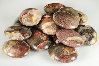 Colorful Petrified Wood Pocket Stones #199630