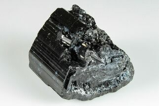 1.7" Black Tourmaline (Schorl) Crystal - Madagascar - Crystal #200432