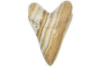 Realistic, Carved Orange Calcite Megalodon Tooth - Replica #202085