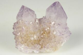 Cactus Quartz (Amethyst) Crystal Cluster - South Africa #201704