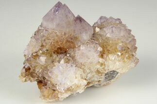 Cactus Quartz (Amethyst) Crystal Cluster - South Africa #201710