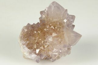 Cactus Quartz (Amethyst) Crystal Cluster - South Africa #201735