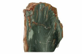 4.8" Gary Green Jasper (Larsonite) Bog Wood Stand Up - Oregon - Fossil #194145