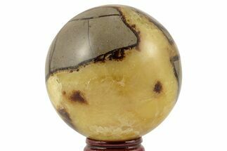 Polished Septarian Sphere - Madagascar #203643