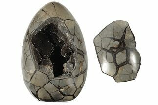 10.7" Septarian "Dragon Egg" Geode - Removable Section - Crystal #203811
