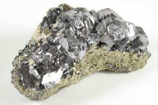 3.15" Galena and Pyrite Association - Peru - Crystal #203936