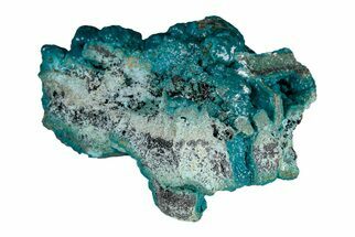 3.2" Botryoidal Teal Chrysocolla Formation - DR Congo - Crystal #204936