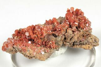 2.1" Lustrous, Red-Orange Wulfenite Cluster - Kuruktag Mountains, China - Crystal #204983