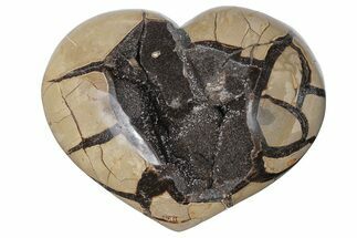6.9" Polished Septarian Geode Heart - Black Crystals - Crystal #205477