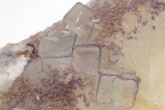 Purple Edge Fluorite Crystal Cluster - Qinglong Mine, China #205489