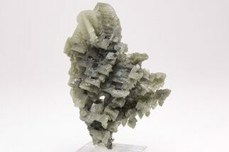 Skeletal Halite Crystals with Tolbachite - Poland #206034