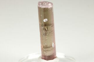 Beautiful, Bi-Colored Tourmaline - Himalaya Mine, California #206123