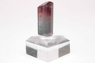 Bi-Colored Elbaite Tourmaline Crystal - Coronel Murta, Brazil #206250