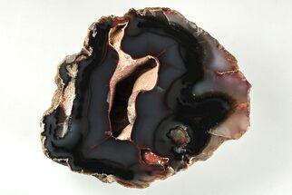 Polished Patagonia Crater Agate - Highly Fluorescent! #206228