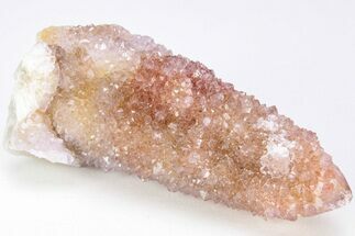 Cactus Quartz (Amethyst) Crystal - South Africa #206255