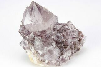 Dark Purple Cactus Quartz (Amethyst) Crystal - South Africa #206257
