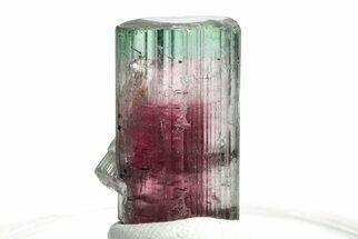 Tri-Colored Elbaite Tourmaline Crystal - Aricanga Mine, Brazil #206867