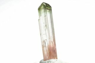 Bi-Colored Elbaite Tourmaline Crystal - Rubaya, DR Congo #206892