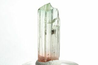 Bi-Colored Elbaite Tourmaline Crystal - Rubaya, DR Congo #206894
