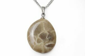 Polished Petoskey Stone (Fossil Coral) Necklaces - Michigan #207741
