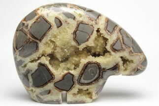 Calcite Crystal Filled, Polished Septarian Bear - Utah #207772