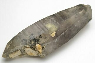 Tessin Habit Smoky Quartz Crystal - Nigeria #207980