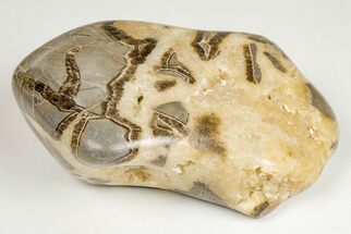 Wide, Polished Septarian Pebble - Utah #207815
