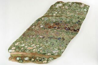 Polished Rainforest Jasper (Rhyolite) Slab - Australia #208133