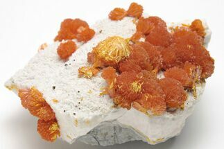 Vibrant Orange Orpiment Crystals on Barite - Russia #208757