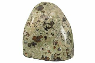 Free-Standing, Polished Rainforest Jasper (Rhyolite) - Australia #208479