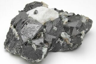 Octahedral Magnetite Crystal Cluster - Russia #209451