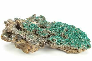 Sparkling Dioptase Crystals on Gemmy Dolomite - N'tola Mine #209706