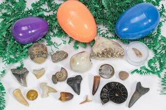 Fossil Filled Easter Eggs! - Pack #210463