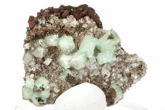 Cuprian Adamite Crystals on Matrix - Ojuela Mine, Mexico #211977