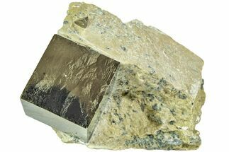 Natural Pyrite Cube In Rock - Navajun, Spain #211394