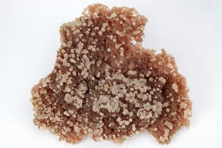 Fibrous, Rose-Red Inesite Crystals - South Africa #212765