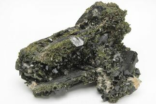 Lustrous, Epidote Crystal Cluster on Actinolite - Pakistan #213428