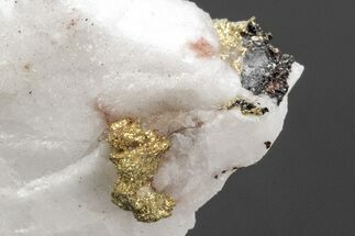 Native Gold Formation in Quartz - Morocco #213529