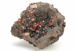 Small, Red Vanadinite Crystals on Manganese Oxide - Morocco #211988